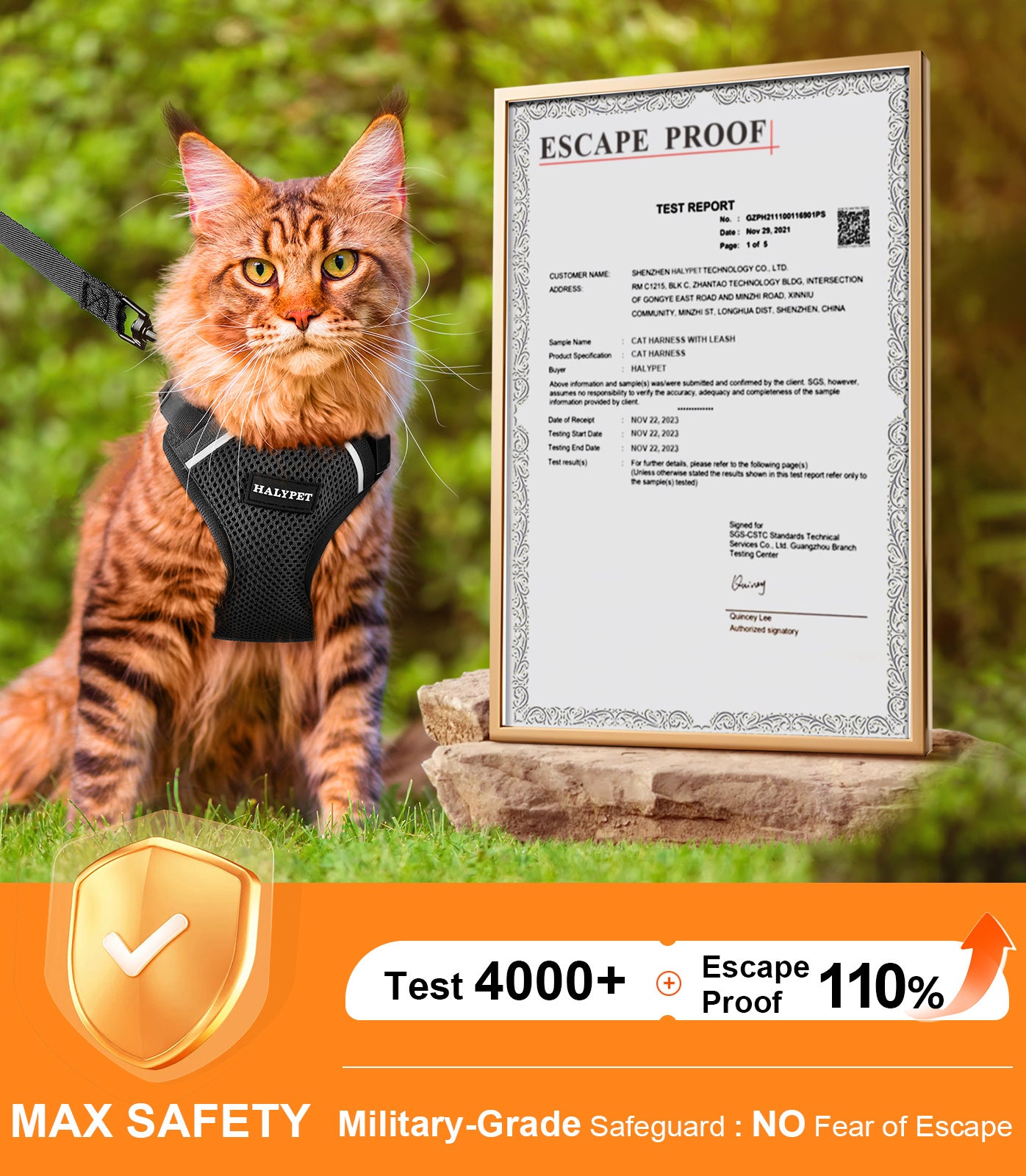 Halypet Escape Proof Cat Harness and Leash Set, with Secure lock