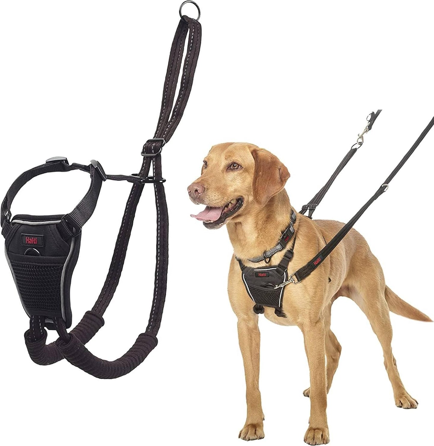 No Pull Harness - To Stop Your Dog Pulling on the Leash. Adjustable, Lightweight and Easy to Use. Reflective Dog Training Harness for Medium Dogs (Size M)
