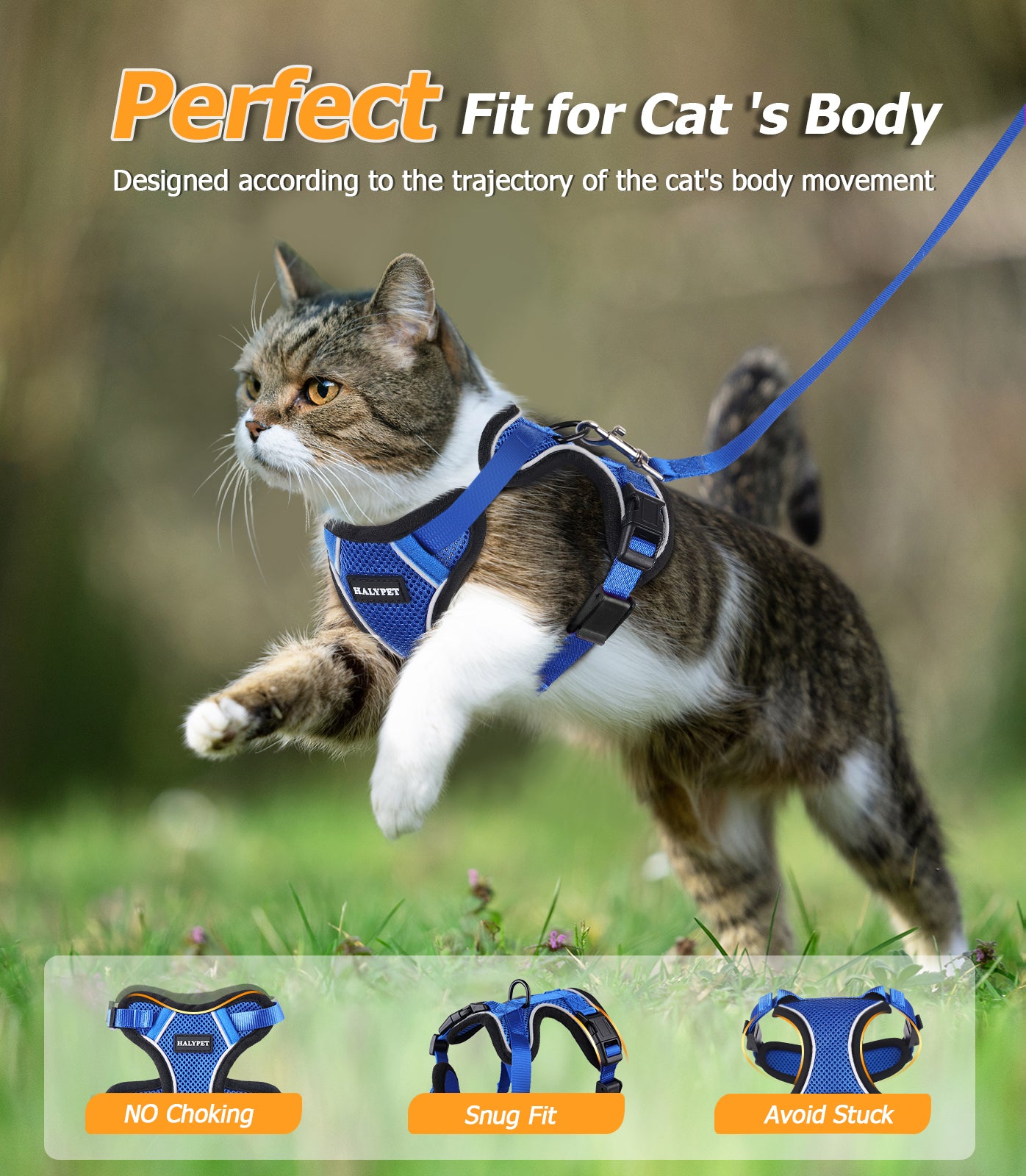 Halypet Escape Proof Cat Harness and Leash Set, with Secure lock