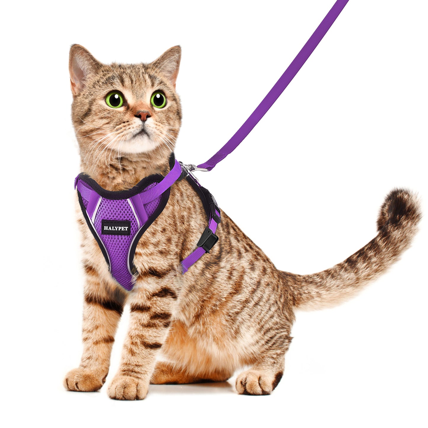 Halypet Escape Proof Cat Harness and Leash Set, with Secure lock