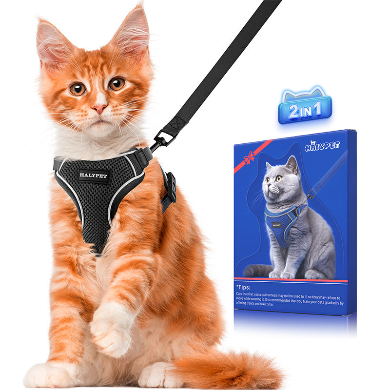 Cat Harness