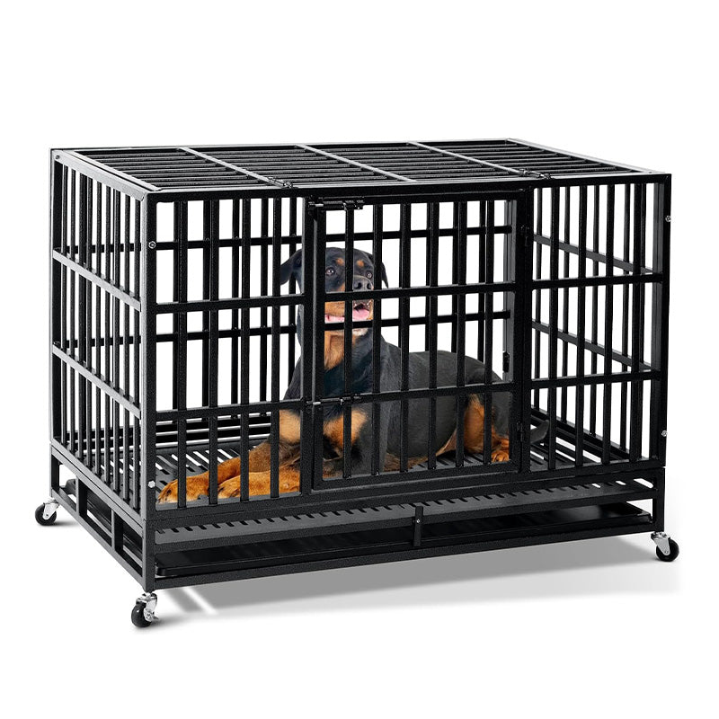 Dog Cage